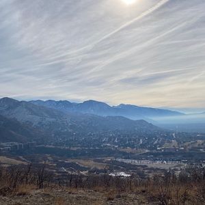 Meet your Posher, Cole